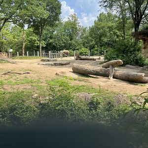 Asian Elephant Exhibit