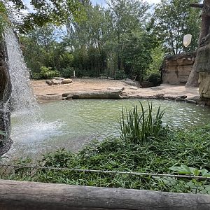 Asian Elephant Exhibit