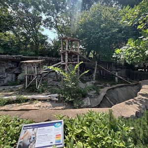 Red Panda Exhibit