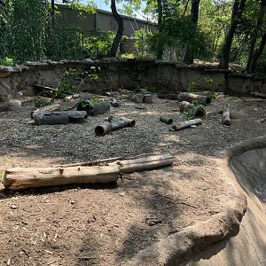 Black-Tailed Prairie Dog Exhibit