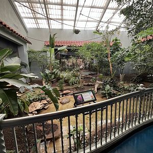 Marbled Teal/Pink-Headed Fruit Dove Exhibit