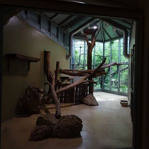 Tiger and Nocturnal House: Leopard indoor enclosure