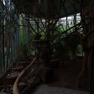 Tiger and Nocturnal House: Mixed South-American enclosure