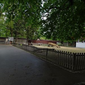 Childrens zoo - Miniature donkey enclosure