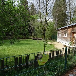 Spurred tortoise enclosure