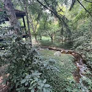 White-Naped Crane Exhibit
