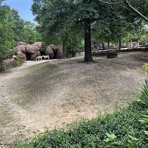 Somali Wild Ass Exhibit (one of many)