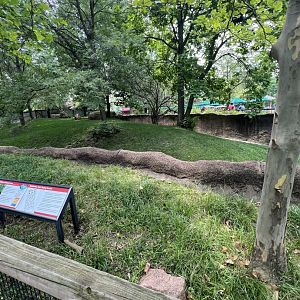 Addra Gazelle/East African Crowned Crane Exhibit