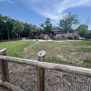 Addra Gazelle/Giraffe Exhibit