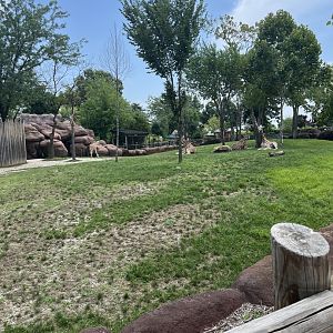 Addra Gazelle/Giraffe Exhibit