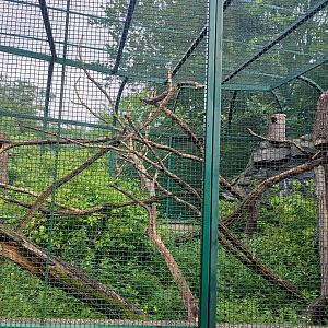 Red and white giant flying squirrel enclosure