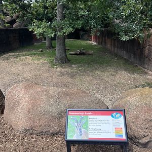 Soemmerring’s Gazelle Exhibit