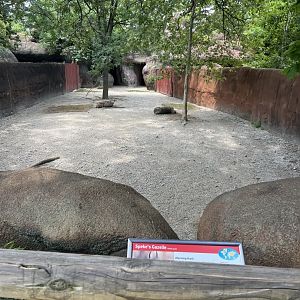 Speke’s Gazelle Exhibit