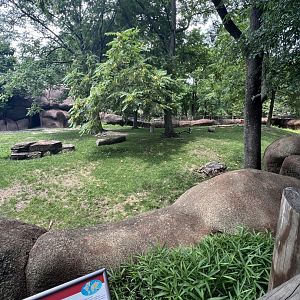 Red Kangaroo Exhibit