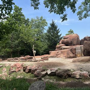 Sichuan Takin Exhibit