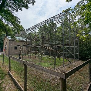 Primate Path - Siamang #2