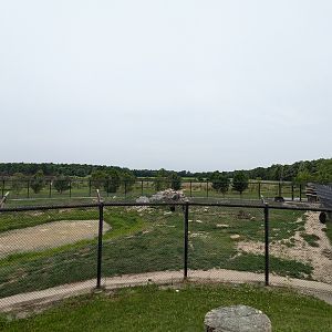 Mbali Outpost - Black bear habitat