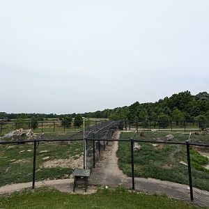 Mbali Outpost - Bear habitats