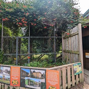 Entrance area - Red panda