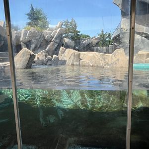 Polar Bear Exhibit