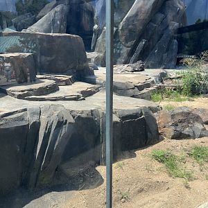 Polar Bear Exhibit