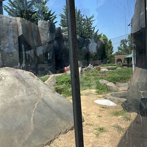 Polar Bear Exhibit