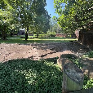 Lesser Kudu/Saddle-Billed Stork Exhibit