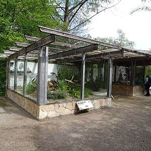 Outdoor terrarium for vipers