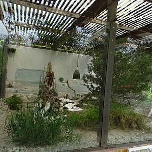 Outdoor terrarium for dice snake