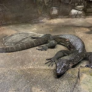 Rainer Günther's monitor