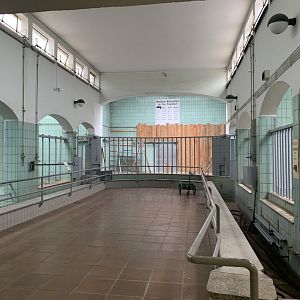 Rhinoceros & Hippopotamus house