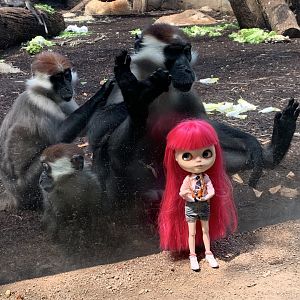 Impromptu experiment