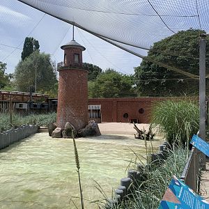 Coastal aviary
