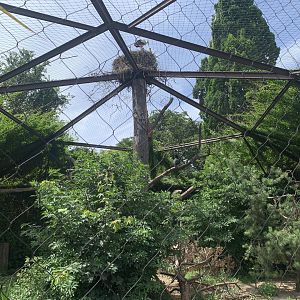 Vulture and raven aviary