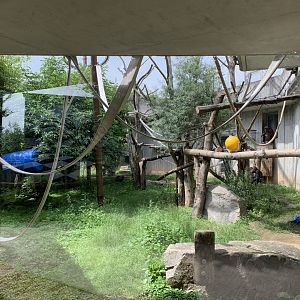 Chimpanzee enclosure