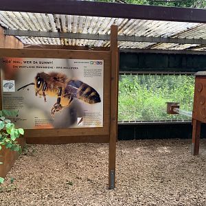 Beehive exhibit