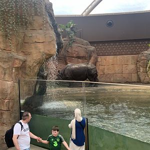 Rhino pagoda interior