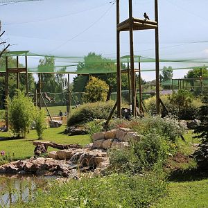 Big Aviary (Specie list in comment)