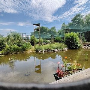Mediterranean Aviary