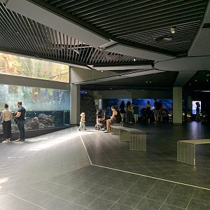 Aquarium overview