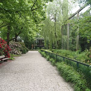 Walkway to raptor aviaries alongside Steller's sea eagle aviary, 2024-05-21