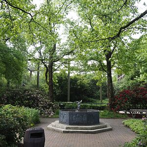 Gardens near Steller's sea eagle aviary, 2024-05-24