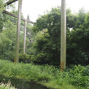 Steller's sea eagle aviary, 2024-05-21