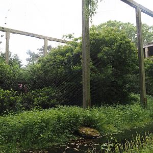 Steller's sea eagle aviary, 2024-05-21