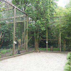 Raptor aviaries, 2024-05-21