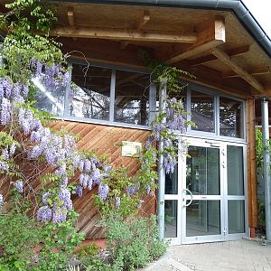 Reptile house entrance