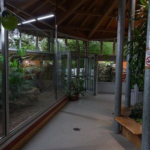 Reptile house interior
