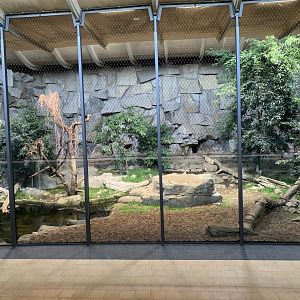 Sun bear and binturong indoor enclosure
