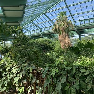 Alfred Brehm house interior