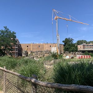 Work on the new African pavilian